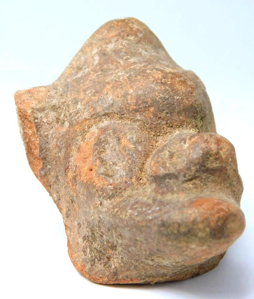 Pre-Columbian Red Terracotta Zoomorphic Pottery - 2