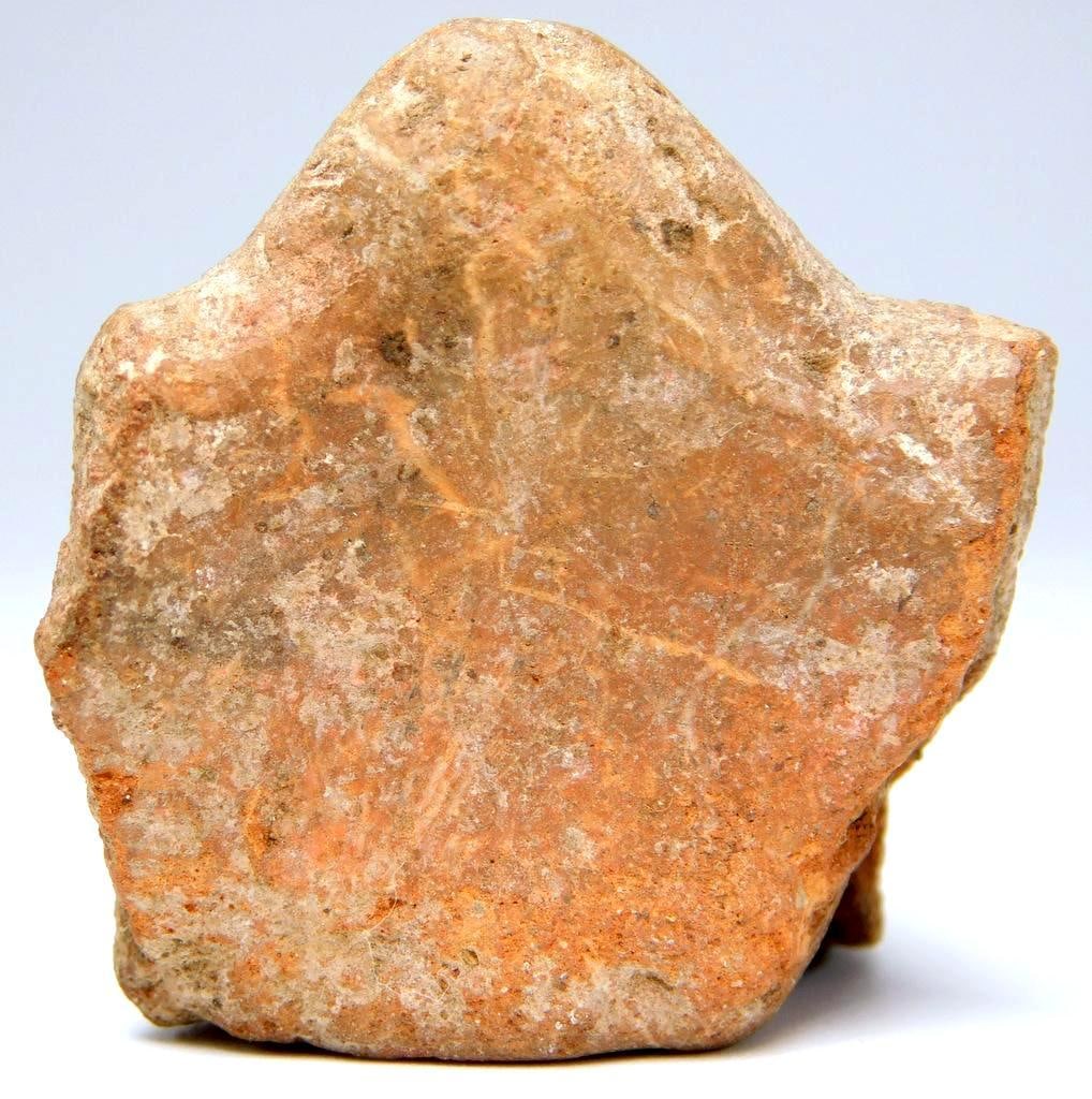 Pre-Columbian Red Terracotta Zoomorphic Pottery - 3