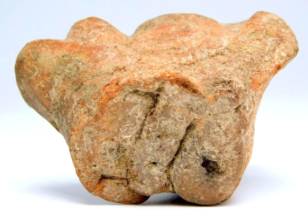 Pre-Columbian Red Terracotta Zoomorphic Pottery - 4