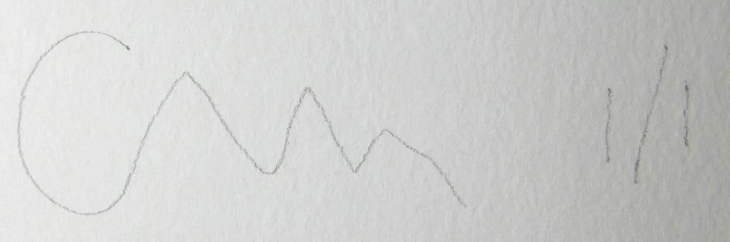 Cameron Welch Floral Print Arrangement Artwork, Wu-Tang Clan - 13