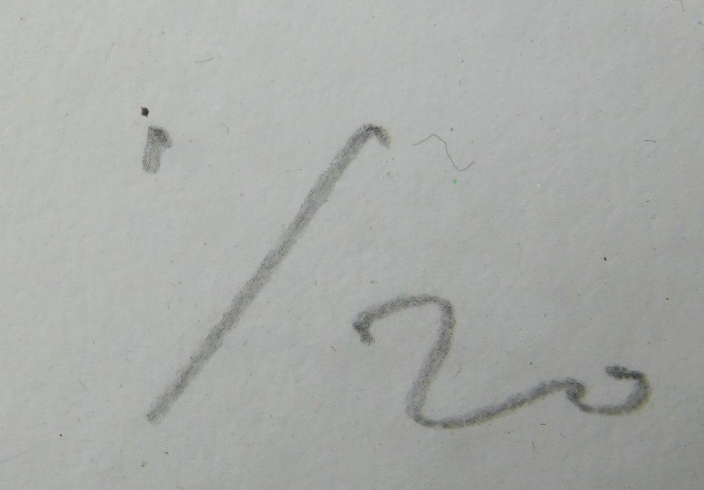 Limited Edition Eel Soup by Megan Greene, Signed and Numbered - 9