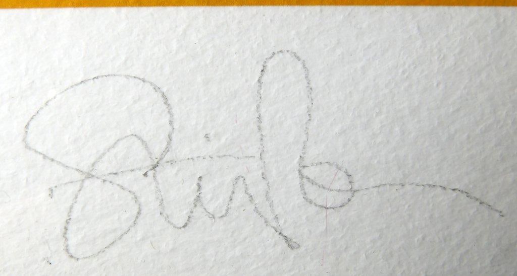 Stina Persson Limited Edition Print, A Place In The Sun - 5