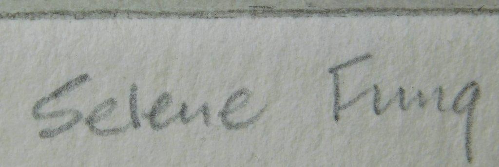 Portrait of Suzanne Farrel by Listed Artist Selene Fung - 6