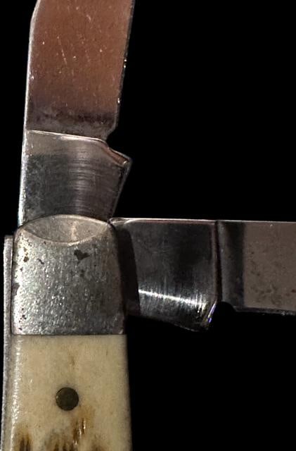 CASE XX 6207 Stag Pocket Knife- 5 dot - 4