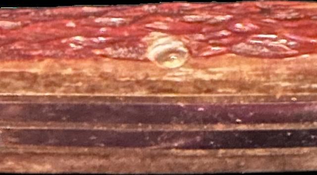 Case XX 6207 SP SSP Mini Trapper 5 Dots - 7