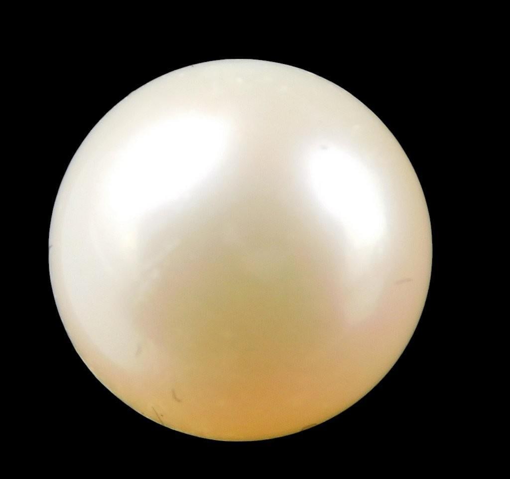 14K Bridge Cultured Pearl Stud Earrings in Original Box - 2