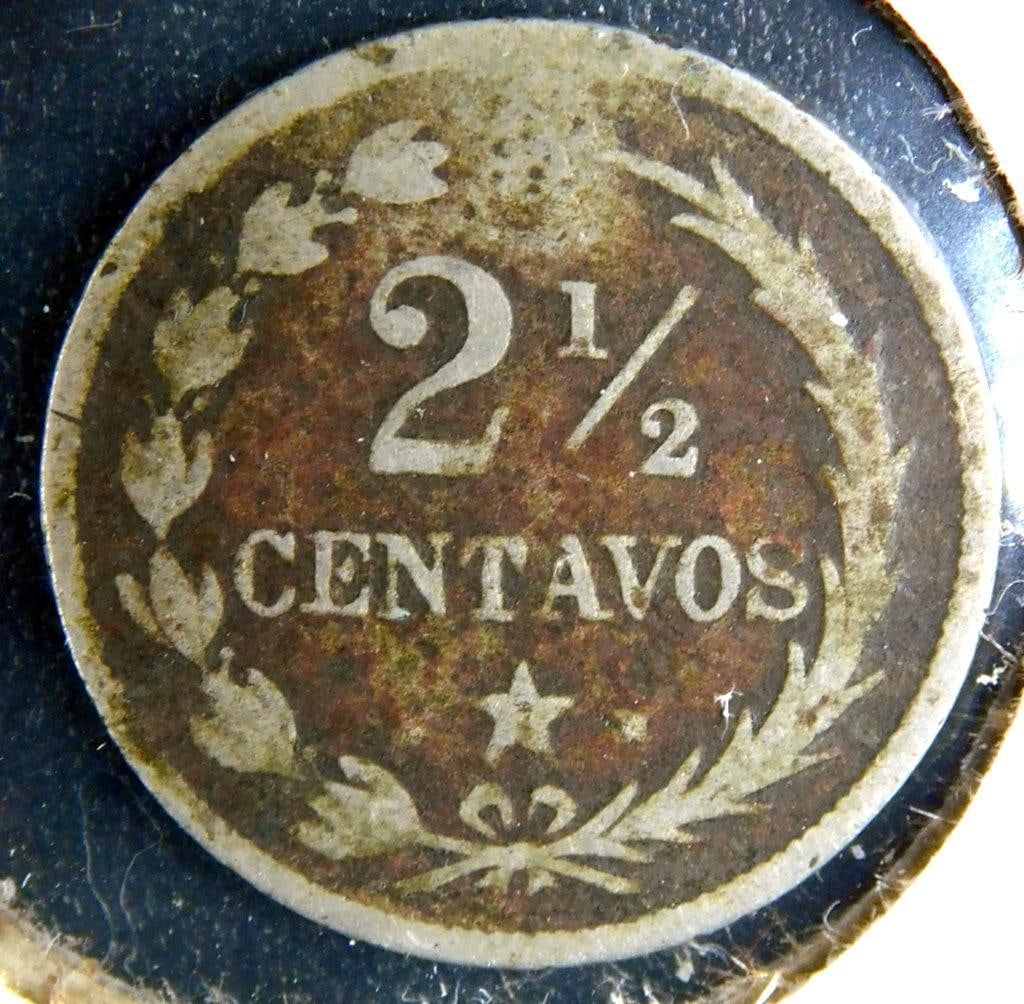 World Coins and Tokens in Card Holders - 12