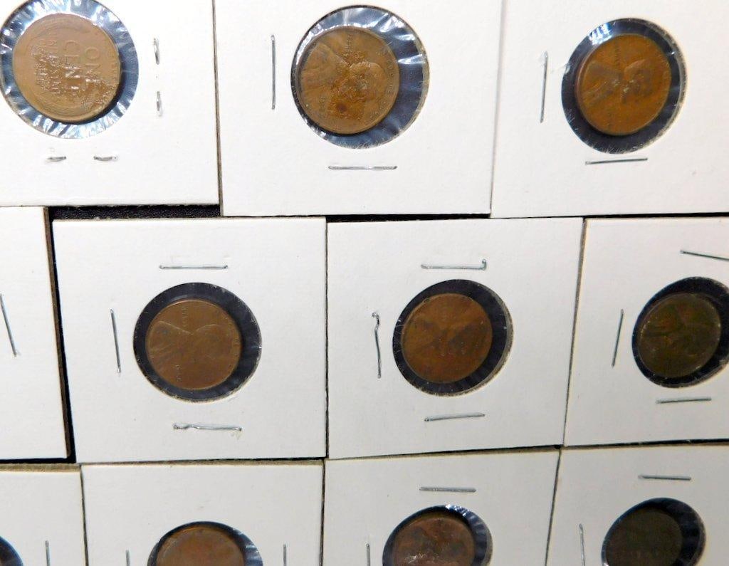 Grouping of Lincoln Wheat Pennies in Holders, (51) - 11