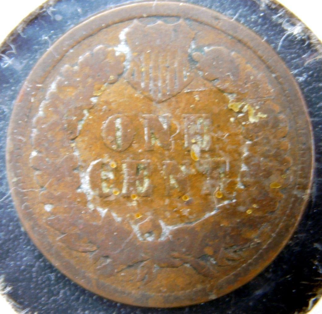 Three U.S. Indian Head Cents: 1895, 1876, and 1902 - 3