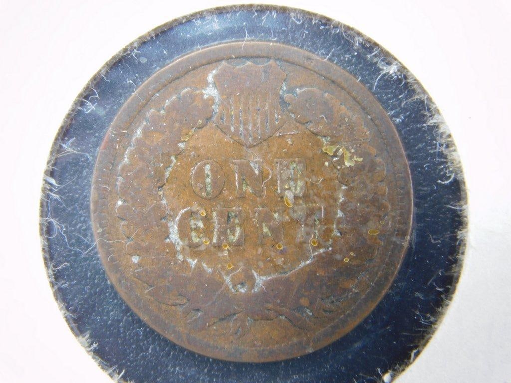 Three U.S. Indian Head Cents: 1895, 1876, and 1902 - 4