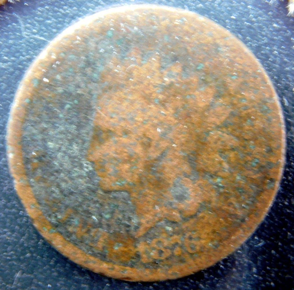 Three U.S. Indian Head Cents: 1895, 1876, and 1902 - 6