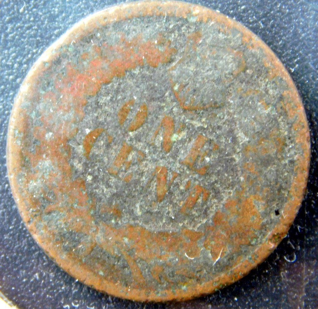 Three U.S. Indian Head Cents: 1895, 1876, and 1902 - 7