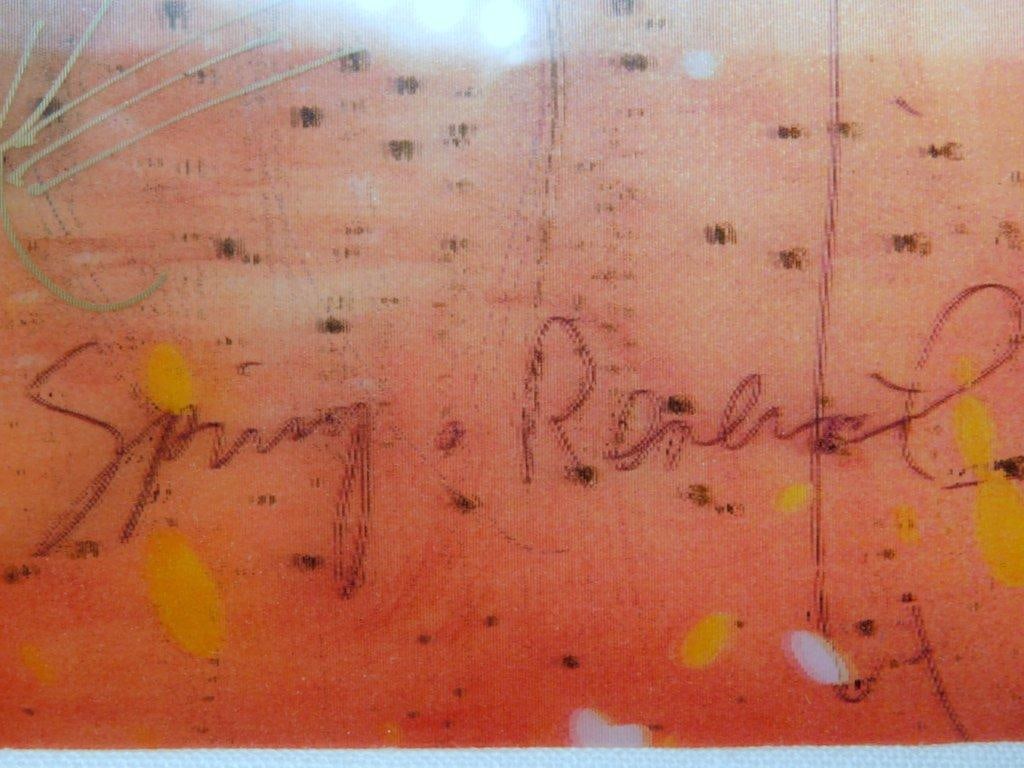 Tim Yanke "Red Revival" Limited Edition Dragonfly Artwork, Framed and Signed - 6