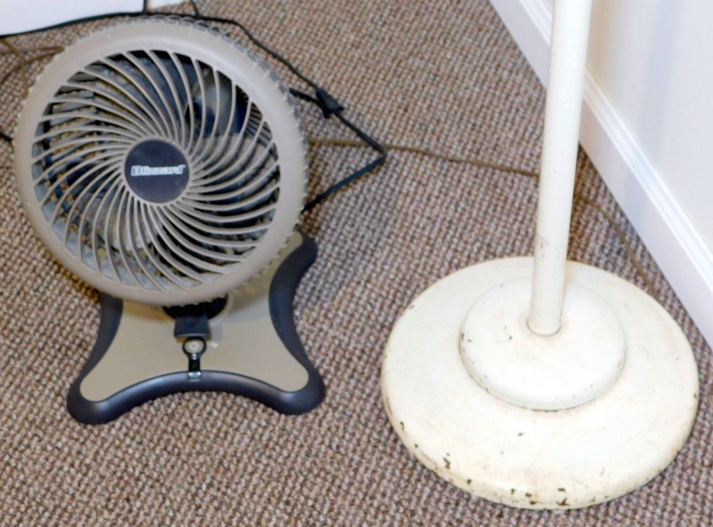 Adjustable Floor Lamp and Blizzard Fan Set - 2