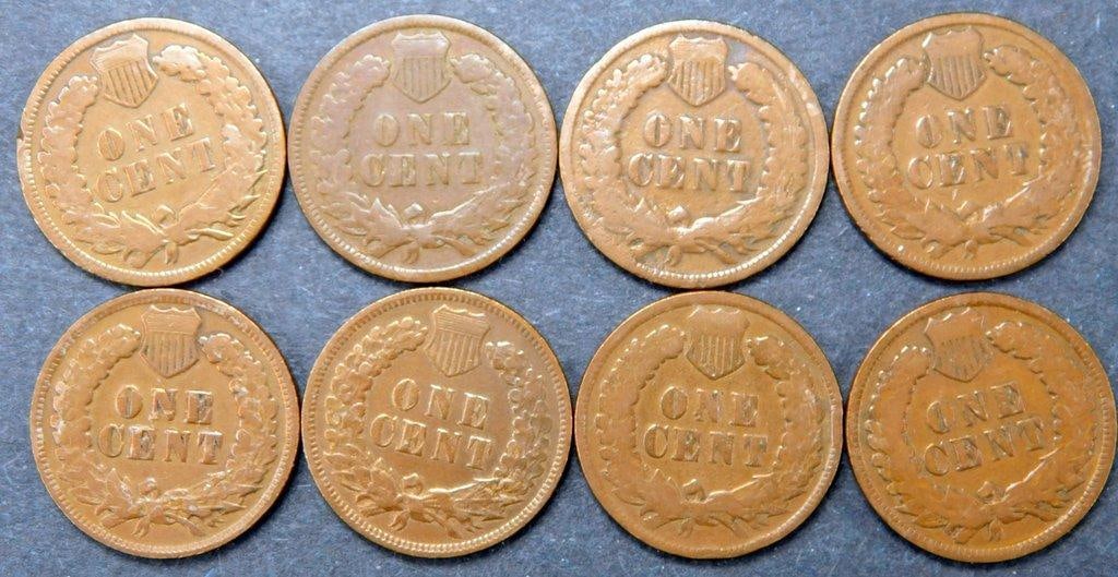 Eight United States Indian Head Pennies, 1900-1908 - 7