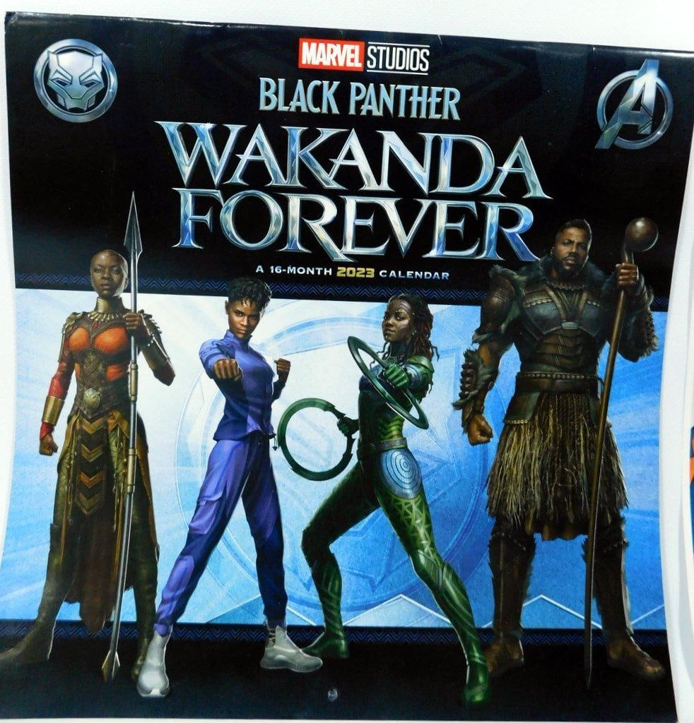 (Lot of 7) Poster Prints of Comic Books (6) and 2023 Black Panther Calendar - 3