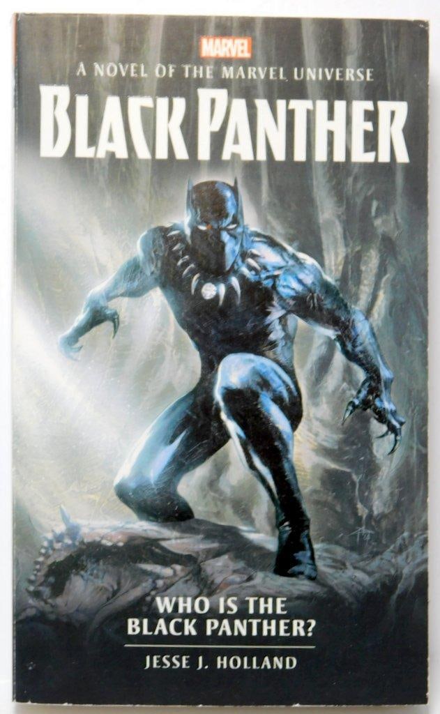 (Lot of 7) Books and Novels on Star Wars and Characters Like Black Panther, Batman, and Iron Man - 4