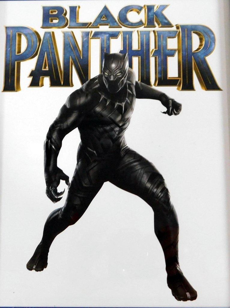 (Lot of 4) Framed Marvel's Black Panther Wall Prints - 5