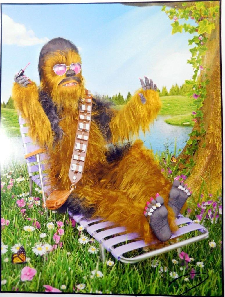 (Lot of 2) Satirical Star Wars Art Prints - 2