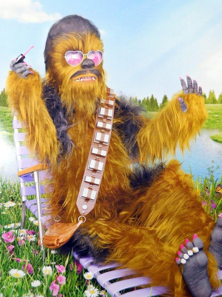 (Lot of 2) Satirical Star Wars Art Prints - 3