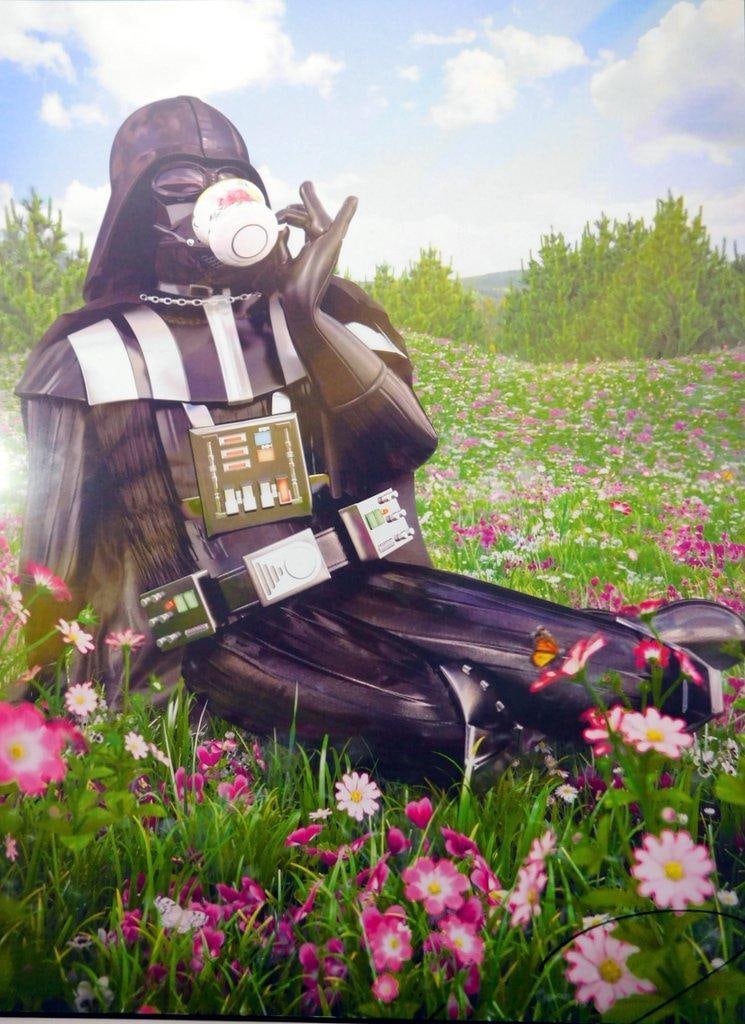 (Lot of 2) Satirical Star Wars Art Prints - 6