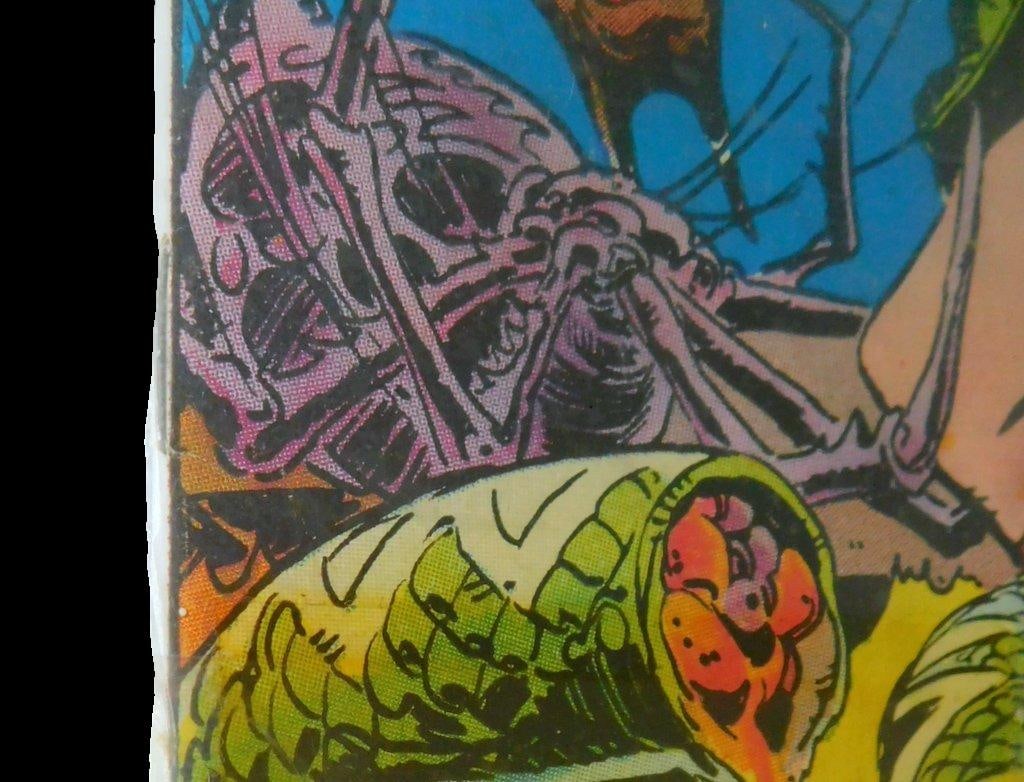 Red Sonja Issues #1-#10, Published by Marvel Comics Group in January 1977, (10 Issues) - 5