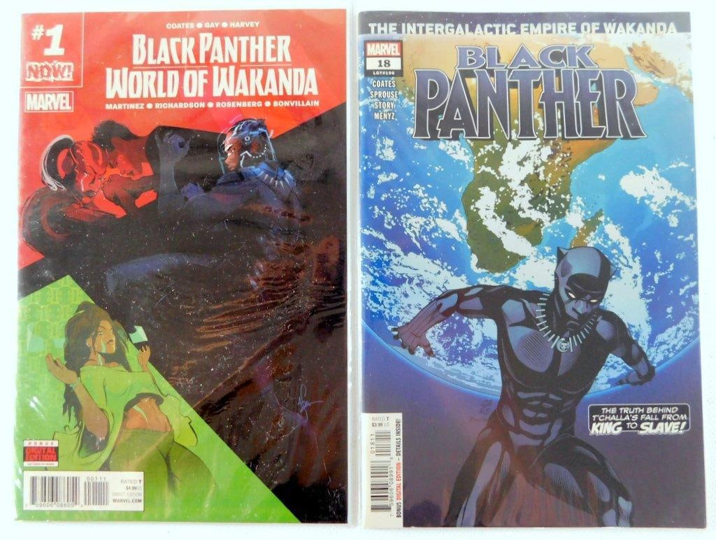 (Lot of 2) Black Panther: World of Wakanda #1 (2016) and Black Panther Vol. 7 #18 (2019) (1 of 3)