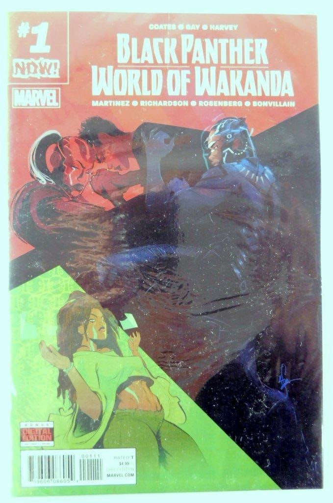 (Lot of 2) Black Panther: World of Wakanda #1 (2016) and Black Panther Vol. 7 #18 (2019) - 2