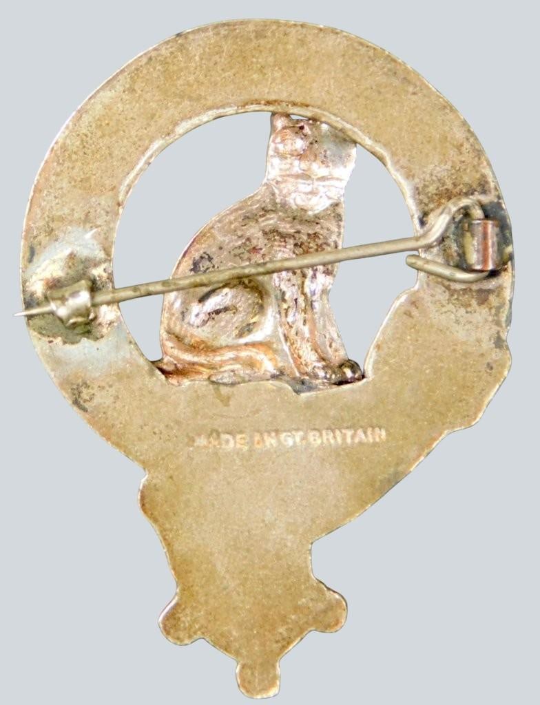 Three Pins: Meadowbrook Hospital Badge, Pelican, and Cat Plaque - 12