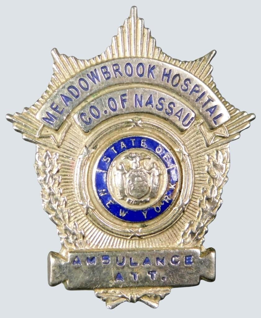 Three Pins: Meadowbrook Hospital Badge, Pelican, and Cat Plaque - 5