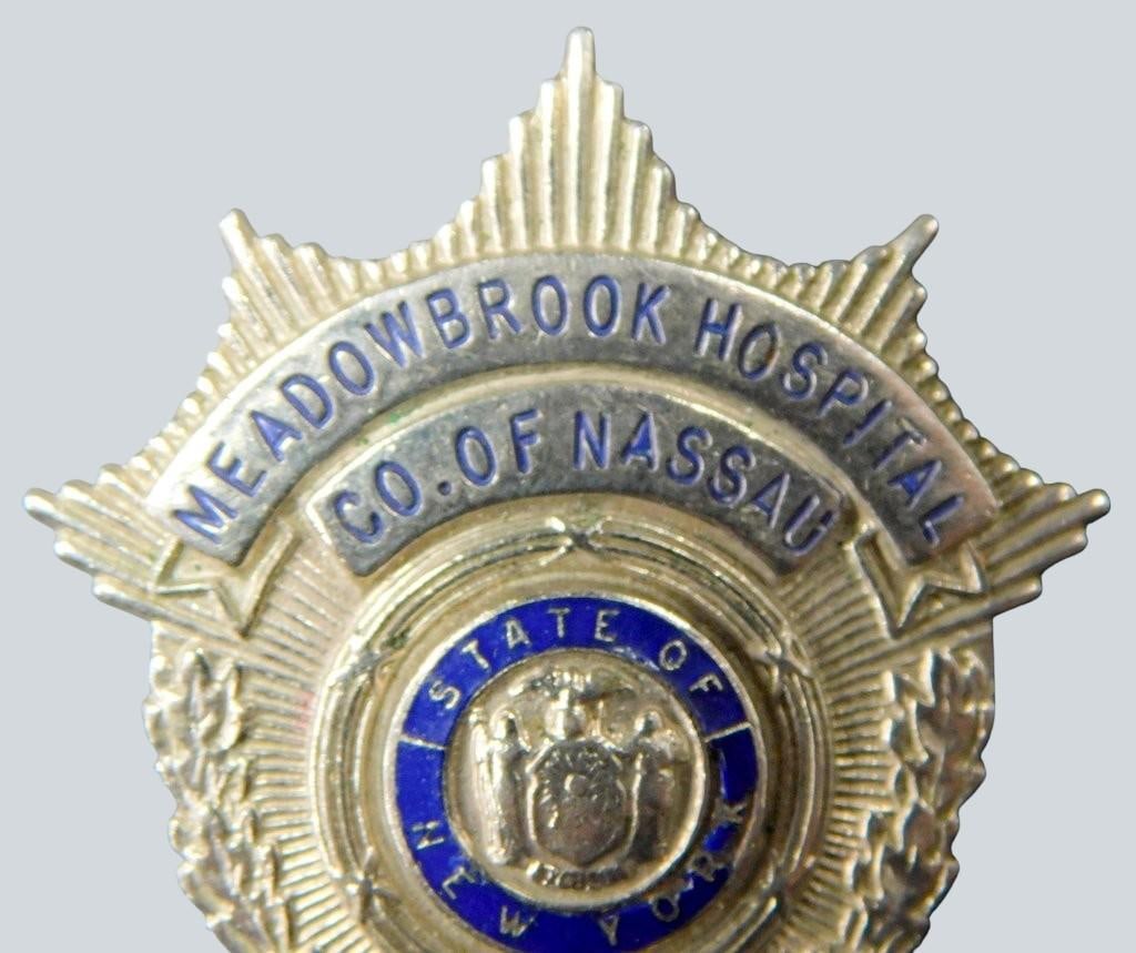 Three Pins: Meadowbrook Hospital Badge, Pelican, and Cat Plaque - 6