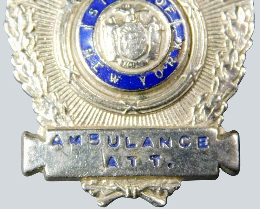 Three Pins: Meadowbrook Hospital Badge, Pelican, and Cat Plaque - 7