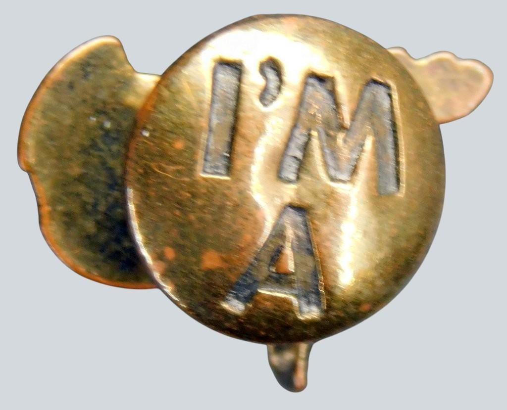 Vintage and Contemporary Pins and Brooches Featuring Various Designs - 17