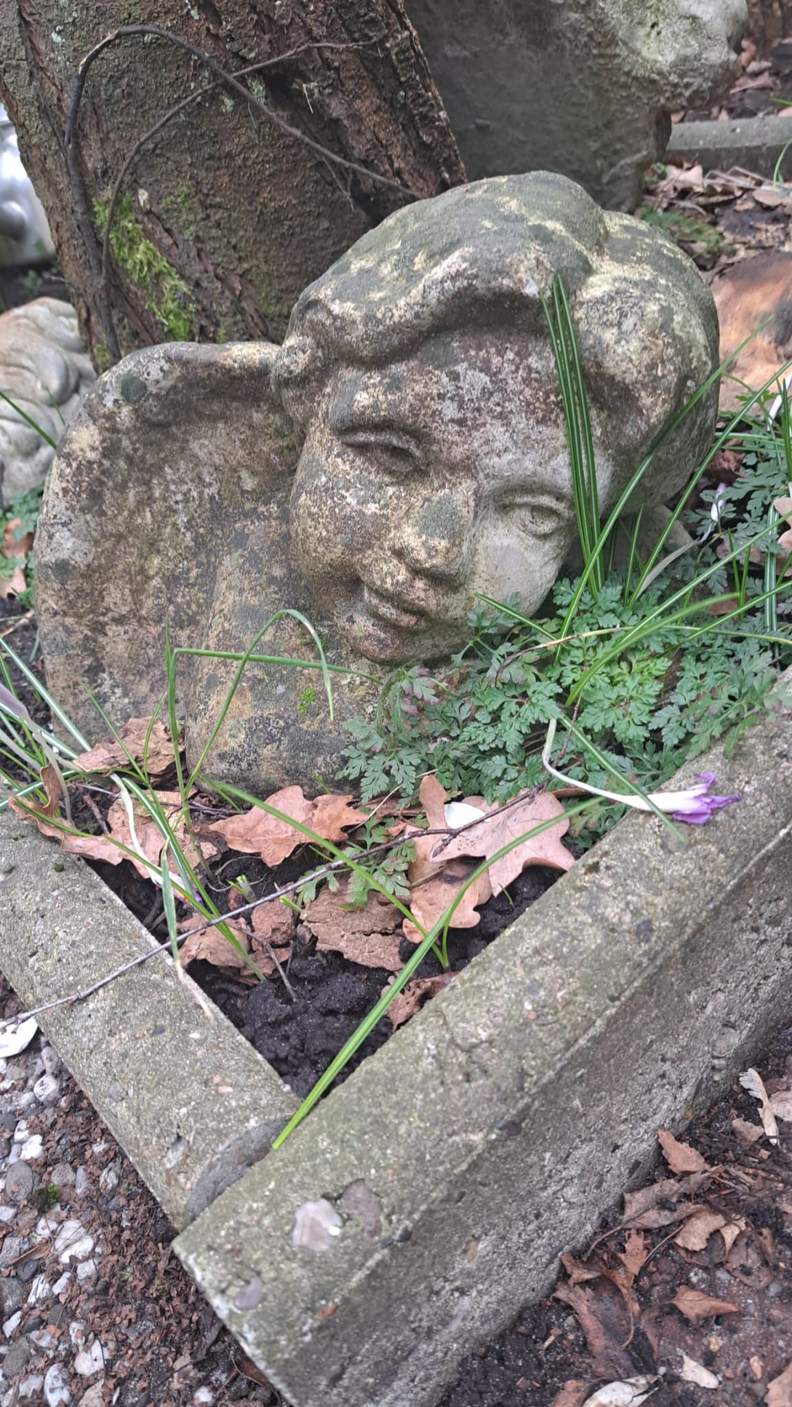 Stein Garten Engel - 3