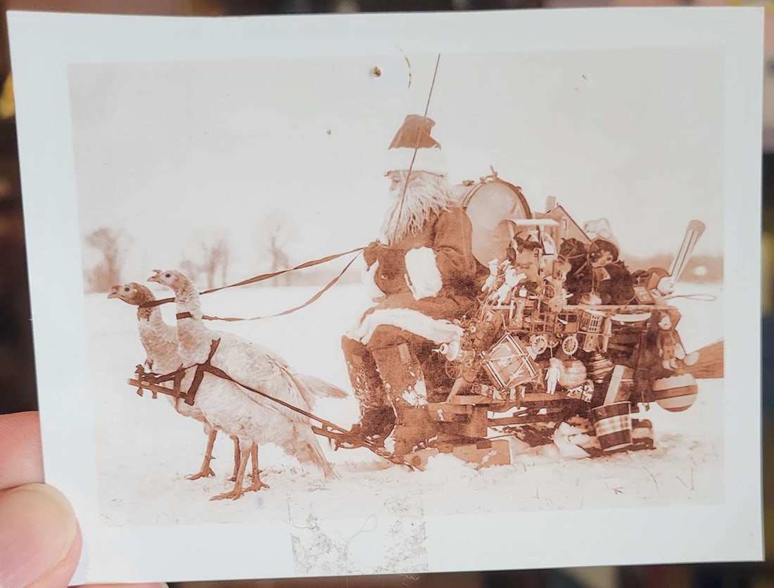 unusual sepia photograph Santa Claus: unusual antique sepia toned photograph depicting a child in Santa clothing, beard and hat riding a sled filled with toys and Christmas presents and being pulled by a pair of birds or Turkeys (!)