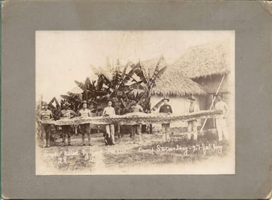 antique cabinet photo of 27 ft. Python or Anaconda