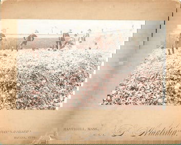 antique photo mass grave skulls skeletons Cuba