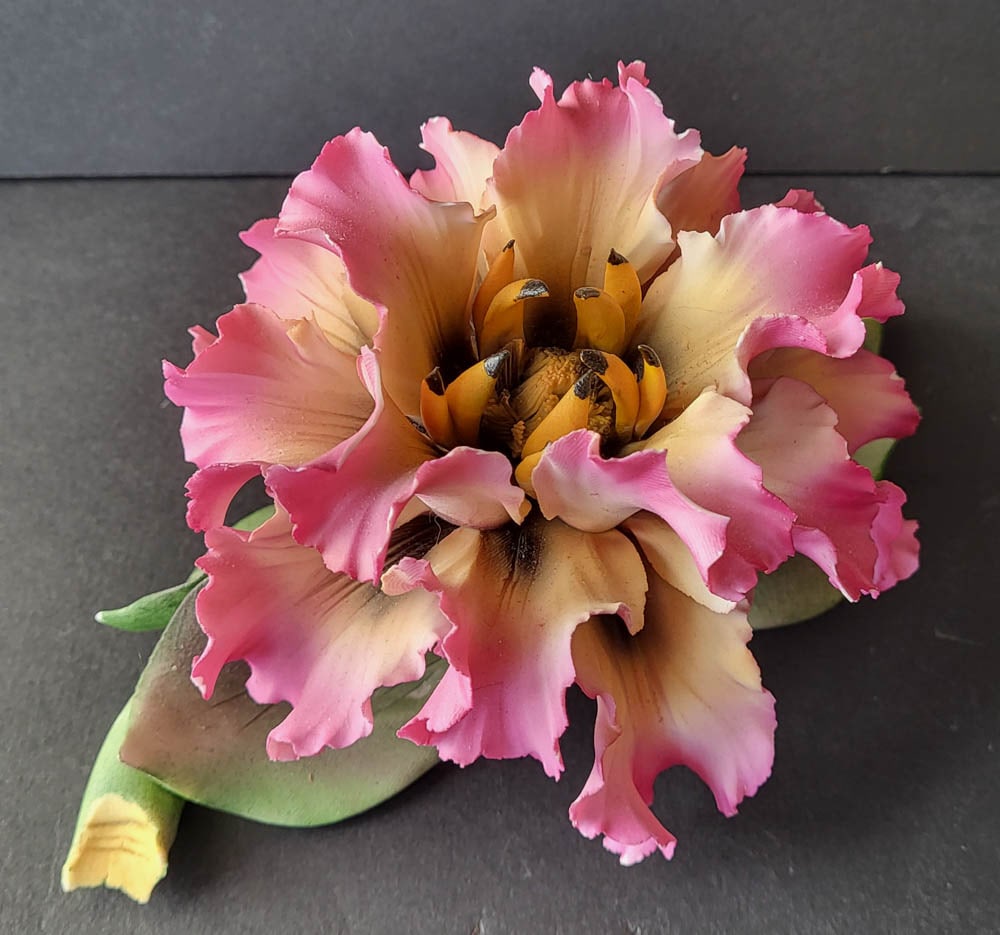 vintage Italian porcelain floral sculpture: vintage bisque or porcelain statue shaped like a pink Bearded Iris, marked Capodimonte Made in Italy as shown