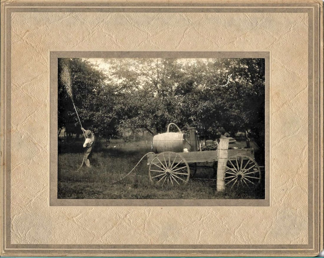 antique mounted photograph early technology (1 of 2)