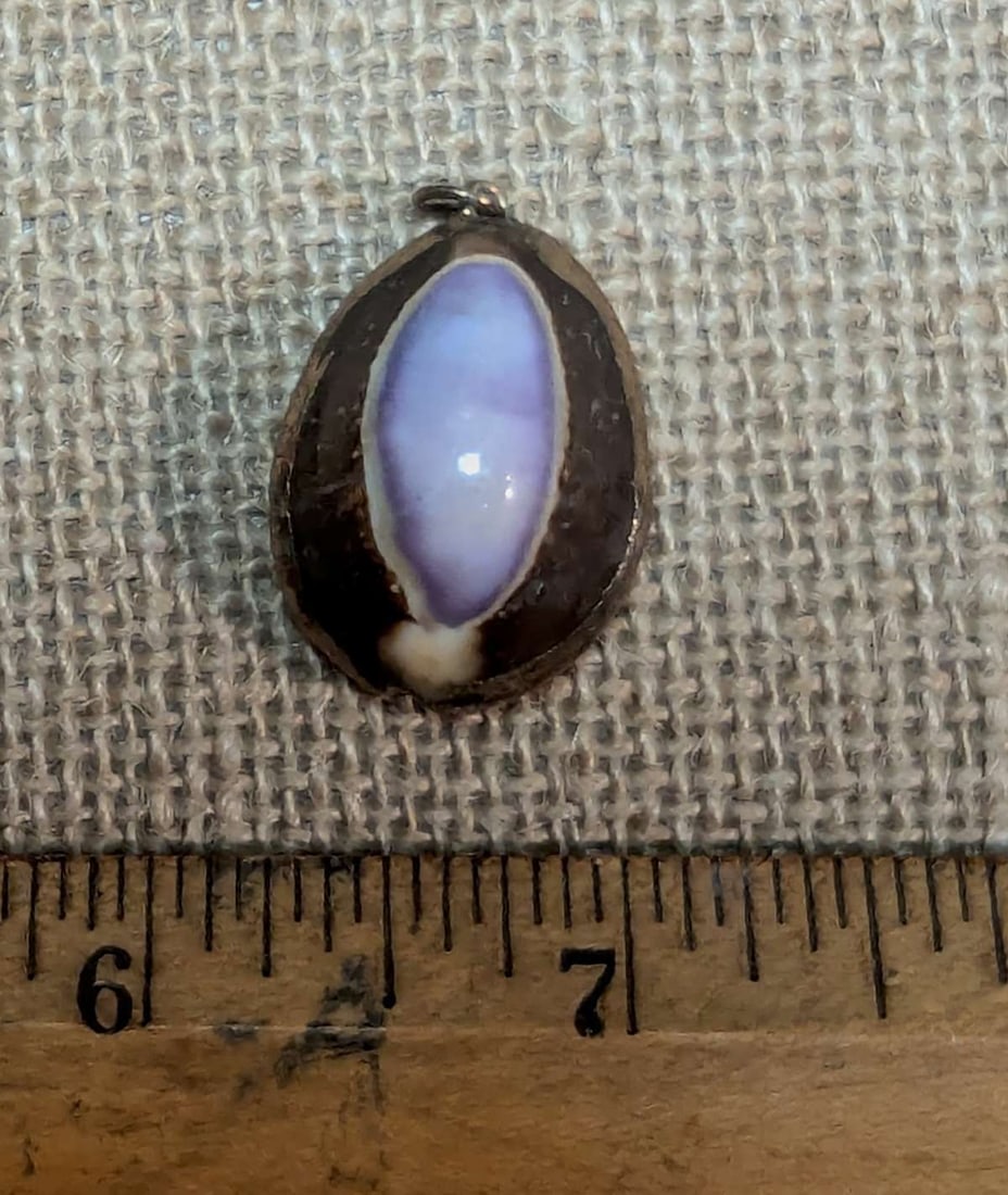 vintage estate jewelry: shell pendant: vintage unmarked but most likely gold filled edge Serpent's Head or Snakehead Cowrie shell charm or necklace pendant with an unusual purple defect (or inserted on purpose) in the center making it