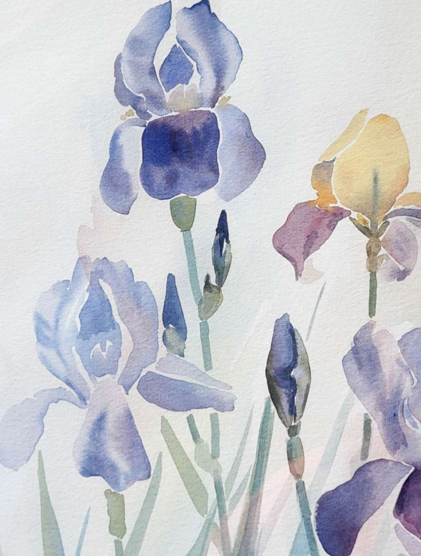 original watercolor painting of flowers - 3