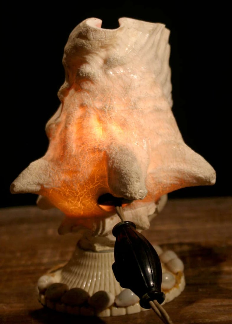 antique shell boudoir or table lamp (1 of 10)