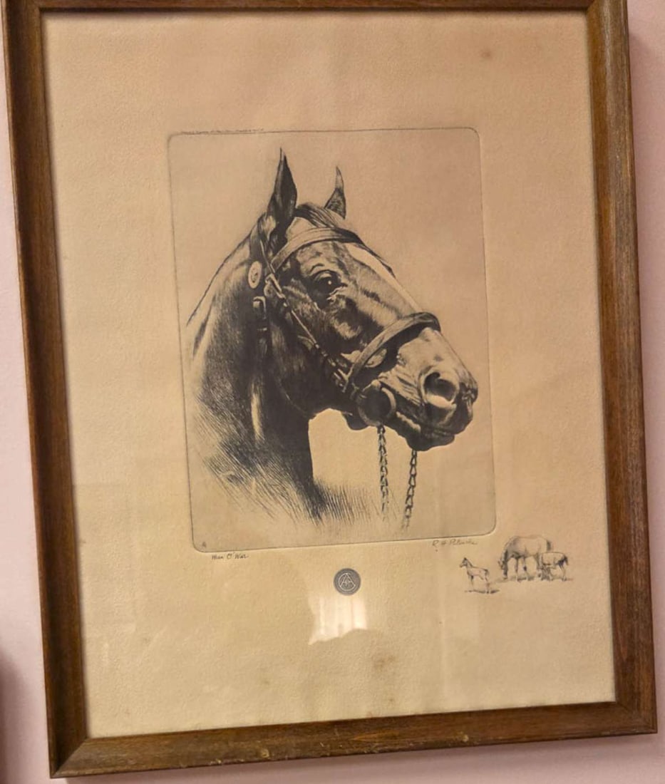 antique framed etching of race horse: antique portrait etching in frame of racing legend horse "Man o' War" by R.H. Palenske (1884 - 1954), printed by Brown and Bigelow and with beautiful cartouche lower right and sig