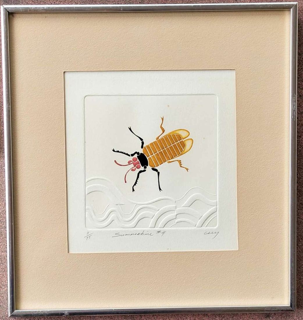 Peruvian artist vintage bug print (1 of 8)