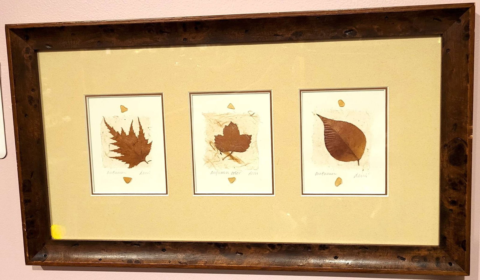 Modern style mixed media artwork by Deni Newey: beautifully frame in burl wooden frame and custom double matted with 3 fiber or paper collages with leaves, titled Autumn Color and signed in pencil Deni, back has info on the artist Deni 