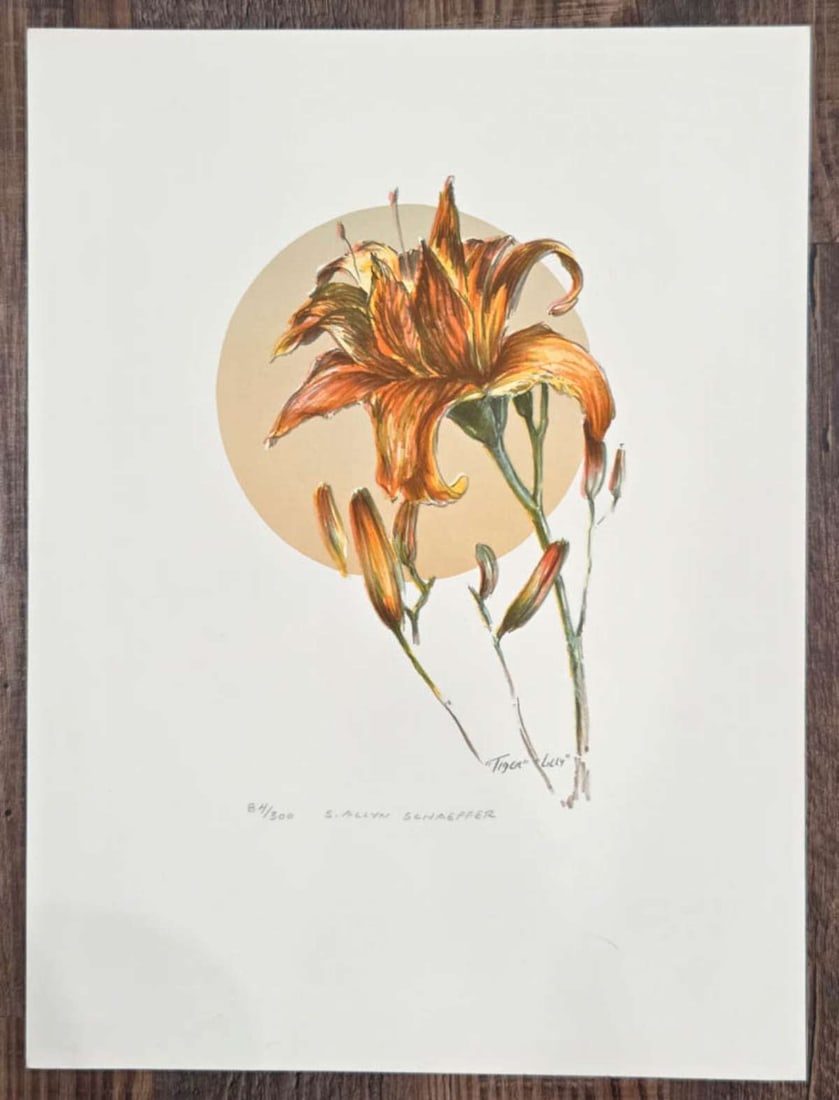 limited edition floral lithograph by listed artist: titled Tiger Lilly (misspelled?) and signed S. (Stanley) Allyn Schaeffer and numbered 84 of 300 and depicting a vibrantly colored orange and green toned tiger lily flower about 14 3/8" high by 11