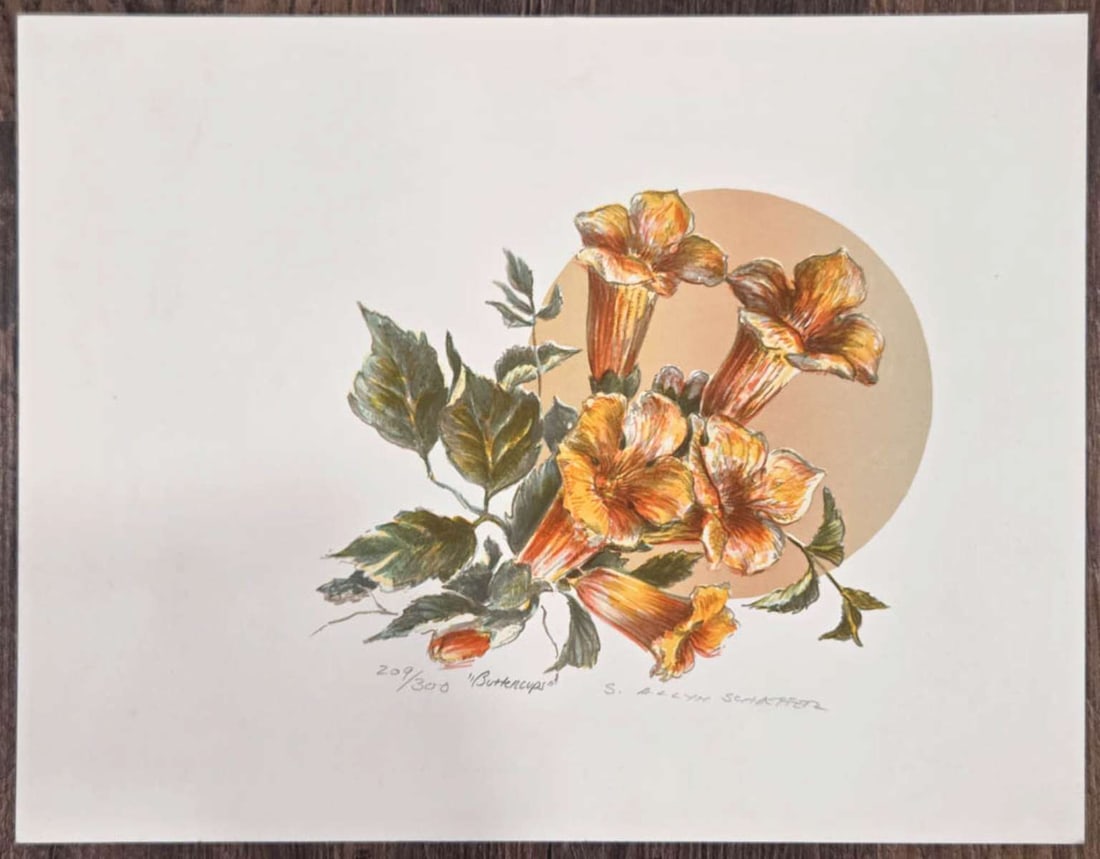 limited edition floral lithograph by listed artist: titled Buttercups and signed S. (Stanley) Allyn Schaeffer and numbered 209 of 300 and depicting a vibrantly colored orange and green toned flower about 14 3/8" wide by 11 1/4" high see the n