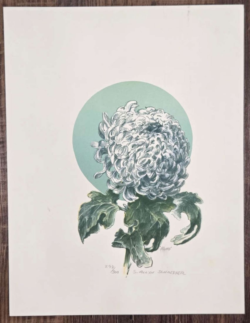 limited edition floral lithograph by listed artist: titled Mums and signed S. (Stanley) Allyn Schaeffer and numbered 298 of 300 and depicting a beautiful muted dark and seafoam green colored flower aprox. 11 1/4" wide by 14 3/5" high see the 