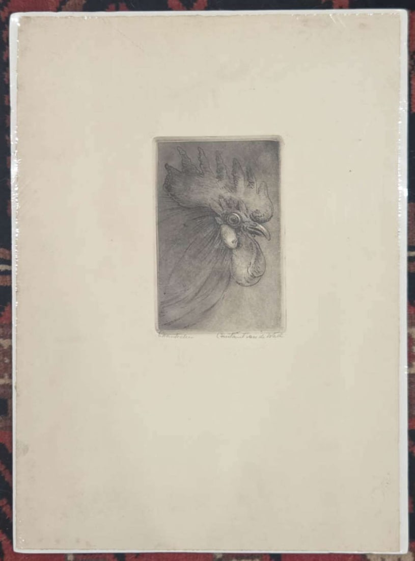 vintage etching of a bird by Dutch artist (1 of 7)