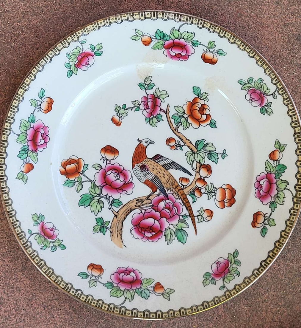 antique F. Winkle and Co porcelain bird plate: antique plate with colorful Pheasant and floral or flower design, marked as shown Wieldon Ware about 8 3/4" in diameter